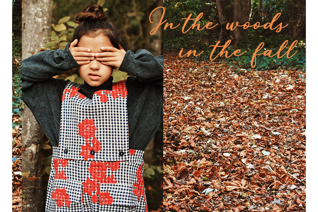 In the Woods, in the Fall